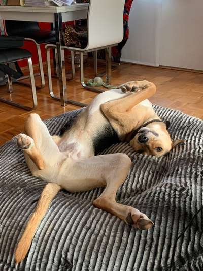 Foto Challange Nr.80-Beitrag-Bild