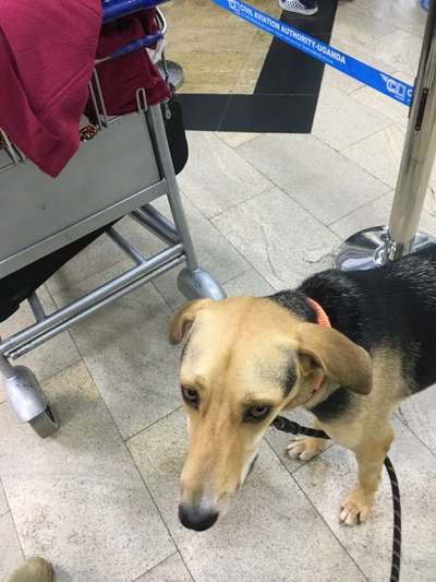 Fotochallenge 101:
On Tour-Beitrag-Bild