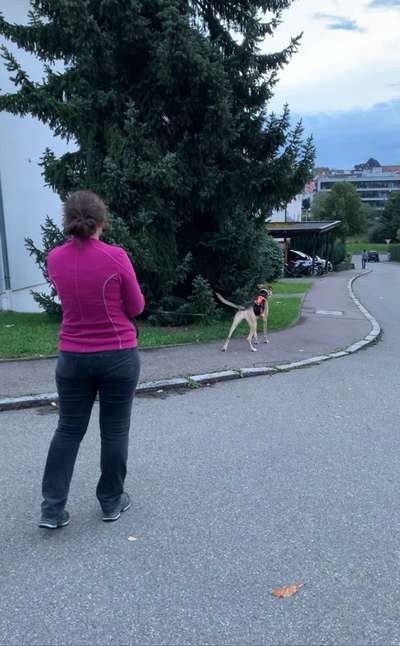 41. Handy Fotochallenge - Euer gemeinsames Hobby-Beitrag-Bild