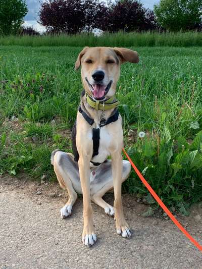 Fotochallenge Nr.122-Beitrag-Bild