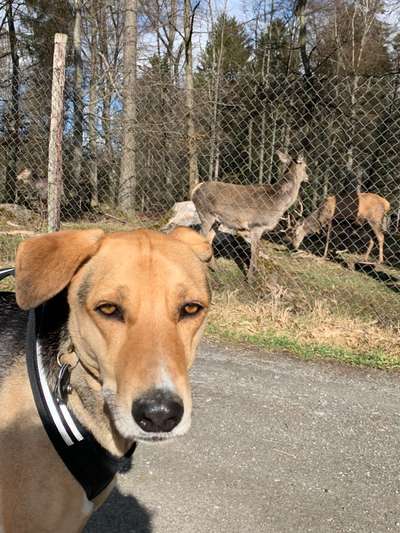 54. Handy Foto Challenge - Zoo Besuch-Beitrag-Bild