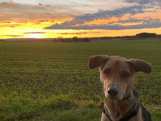 18. Farben Fotochallenge: Sonnenuntergang-Beitrag-Bild