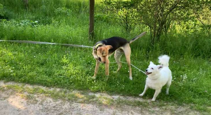 Fotochallenge Nr. 64-Beitrag-Bild