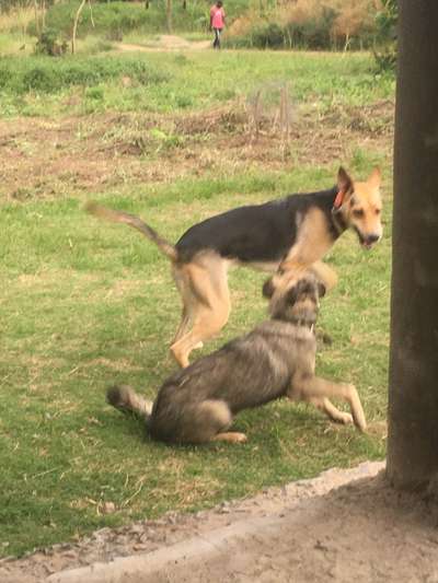 Un...scharf Bilder-Beitrag-Bild