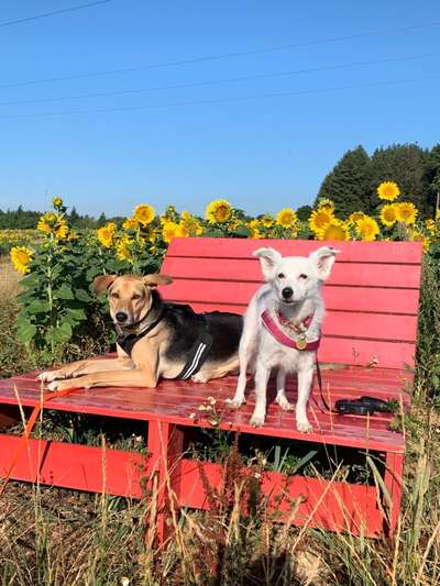 Fotochallenge Nr. 94 It's summer time-Beitrag-Bild