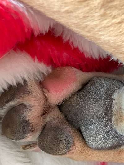 Blick fürs Detail!-Beitrag-Bild