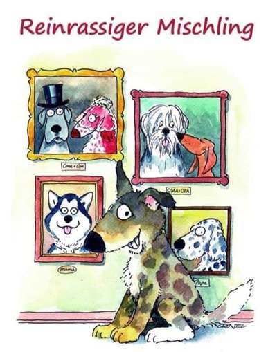 Hunde Memes-Beitrag-Bild