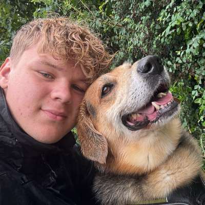 Hundetreffen-Itzehoe, Nordoe