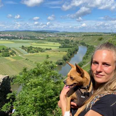 Hundetreffen-Gassi und Spielrunde-Profilbild