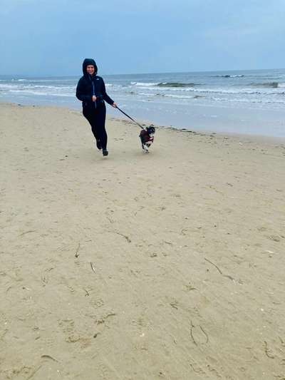 Dogorama Photo Challenge - an der Leine-Beitrag-Bild