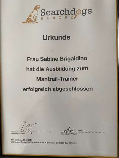 Hundetreffen-Mantrail Training-Bild