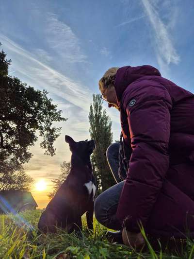 Hundetreffen-Hundefreund gesucht-Bild