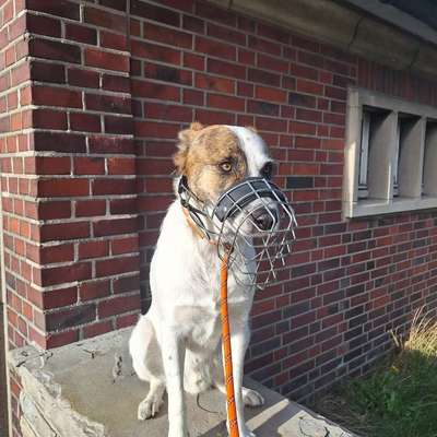 Gangbild/-analyse-Beitrag-Bild