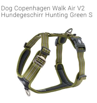 Französische Bulldoggen-Beitrag-Bild