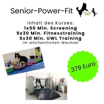 Giftköder-Senior - Power - Fit-Bild