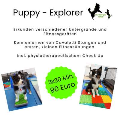 %{de_profession_title}-Puppy - Explorer-Bild