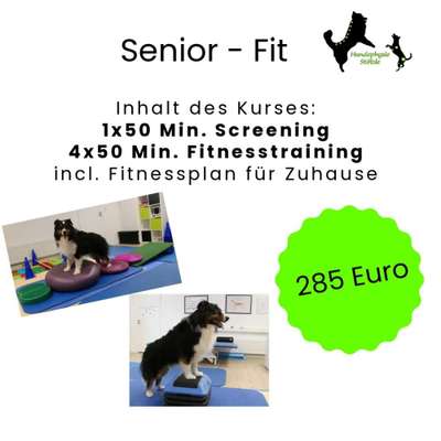 Giftköder-Senior - Fit-Bild