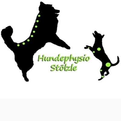Medizinische Dienstleistungen-Hundephysio Stölzle-Bild
