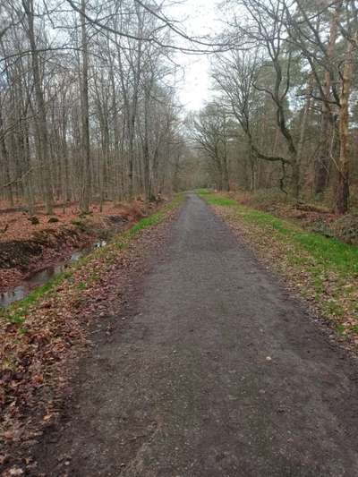 Hundeauslaufgebiet-Egerheide-Bild