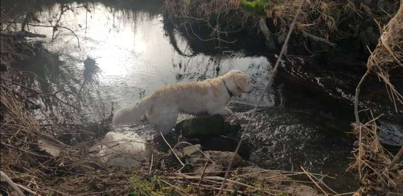 Fotochallenge 27-Beitrag-Bild