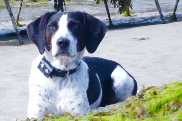 Eure Strandbilder :)-Beitrag-Bild