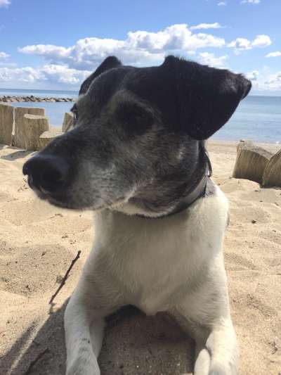 Fotochallenge Nr. 56 - geliebte Senioren-Beitrag-Bild