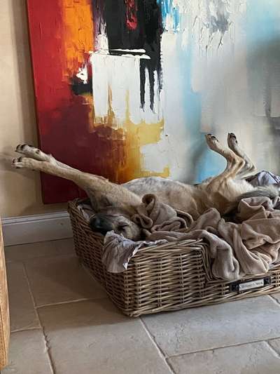 Die unbequemsten und lustigsten Schlafpositionen-Beitrag-Bild