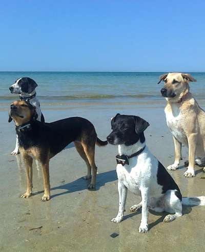 Eure Strandbilder :)-Beitrag-Bild