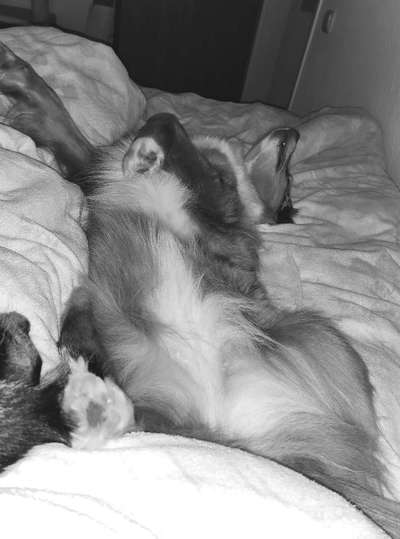 13. Farben-Fotochallenge "Grau"-Beitrag-Bild