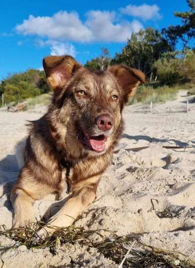 Zeigt eure Portraits-Beitrag-Bild