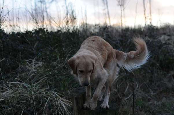 GEN Test-Beitrag-Bild