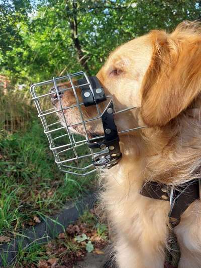 Maulkorb rauf - Vorurteile runter-Beitrag-Bild