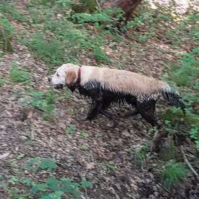 Erzählt eure Erfolgsstorys!-Beitrag-Bild