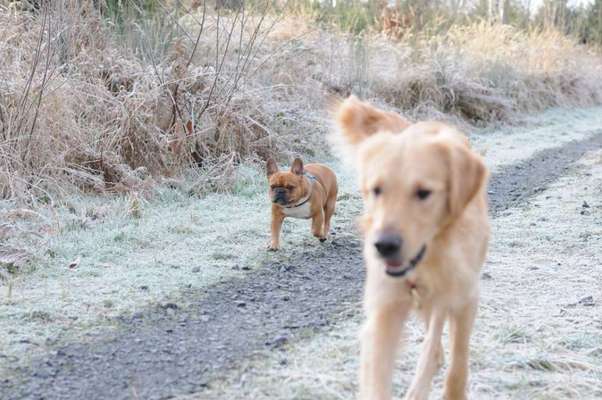 Un...scharf Bilder-Beitrag-Bild