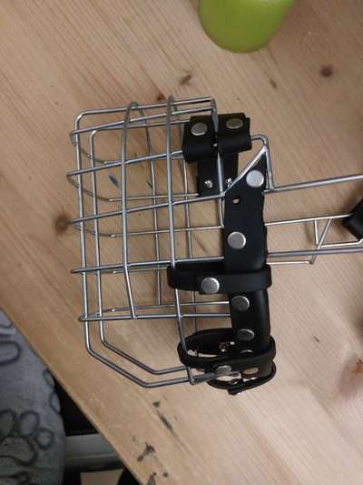 Wie sitzt mein Maulkorb / Maulkorb-Beratung-Beitrag-Bild