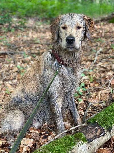 Erzählt eure Erfolgsstorys!-Beitrag-Bild