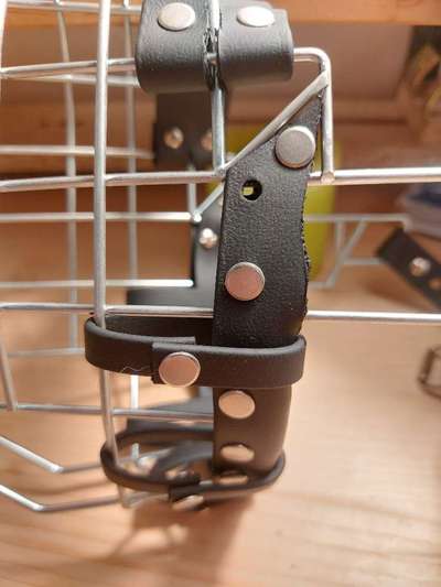 Wie sitzt mein Maulkorb / Maulkorb-Beratung-Beitrag-Bild