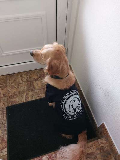 TierschutzhundeStammtisch🐕-Beitrag-Bild