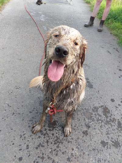 Erzählt eure Erfolgsstorys!-Beitrag-Bild