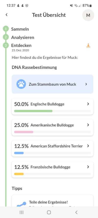GEN Test-Beitrag-Bild