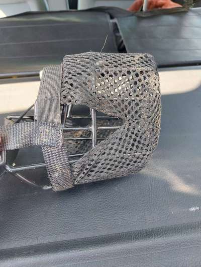 Wie sitzt mein Maulkorb / Maulkorb-Beratung-Beitrag-Bild