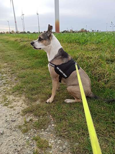 Lieblingsbild-Beitrag-Bild