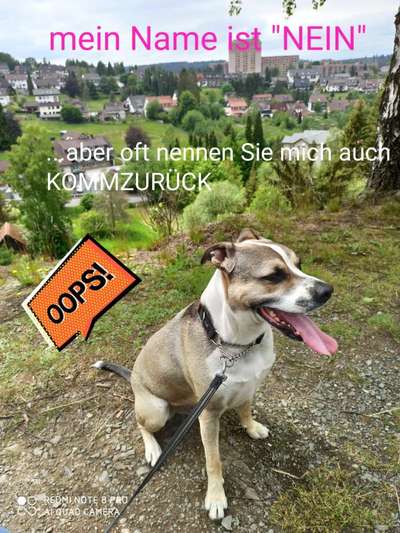 Lieblingsbild-Beitrag-Bild