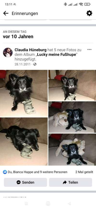 Lieblingsbild-Beitrag-Bild