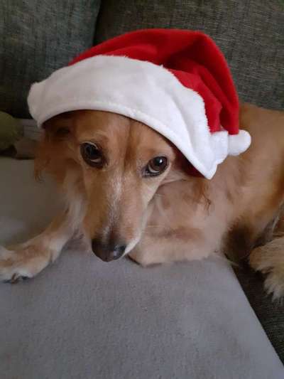 Fotochallenge Nr. 29 - Accessoires-Beitrag-Bild