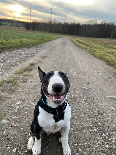 Fotochallenge Nr.122-Beitrag-Bild