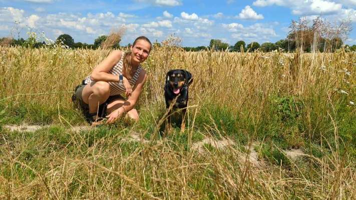 Hundetreffen-Sensibele Jagdhündin sucht gute Sozialkontakte-Bild