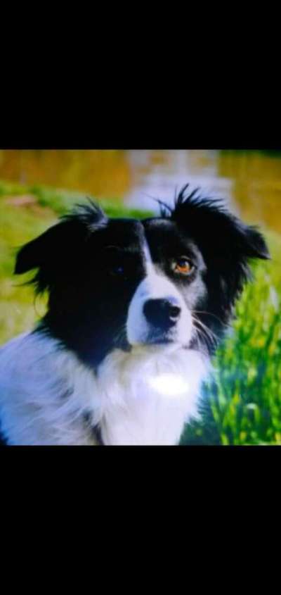 Lieblingsbild-Beitrag-Bild