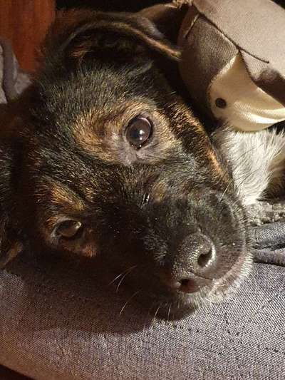 Fotochallange Nr. 57     PORTRÄT.   Beendet!!!!!!!!-Beitrag-Bild