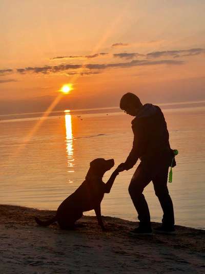 Hundmenschfotos-Beitrag-Bild